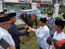 UPTD Masjid Raya Baiturrahman Salurkan Daging Kurban ke 1.100 Fakir Miskin
